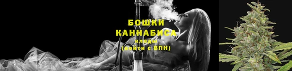 молекула духа Майский