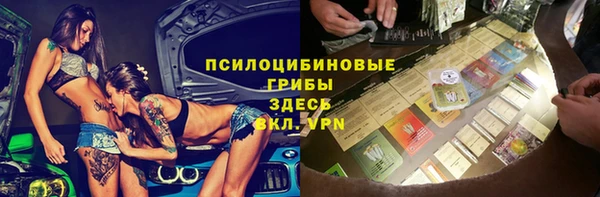 молекула духа Майский