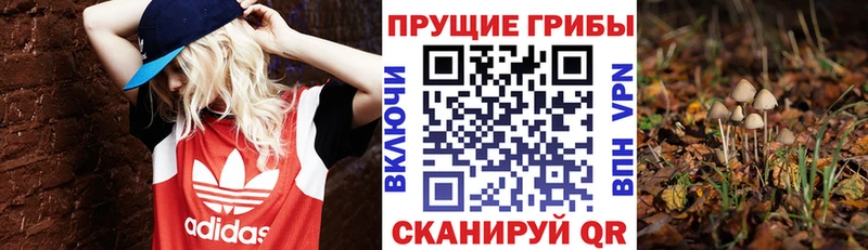 Псилоцибиновые грибы мухоморы  Лесной 