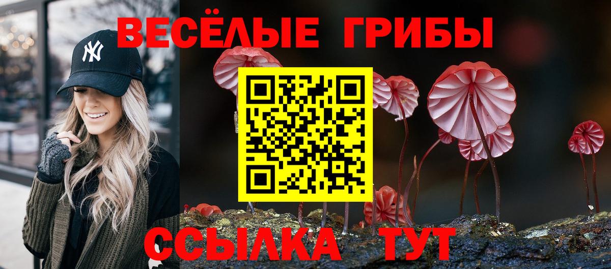 Галлюциногенные грибы ЛСД Лесной