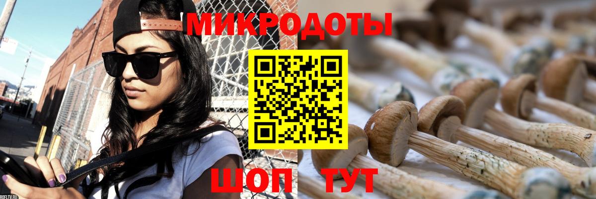 Псилоцибиновые грибы GOLDEN TEACHER  Вход с VPN  Лесной  Галлюциногенные грибы ЛСД 